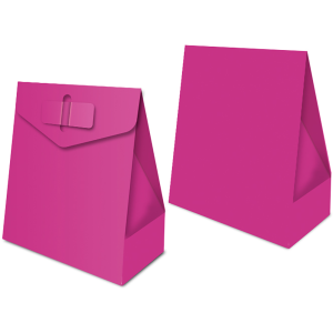 CAIXA SURPRESA LISO FESTA COLORS PINK COM 8 REGINA