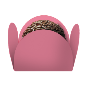 FORMINHA LISA ROSA C/50 KID ART